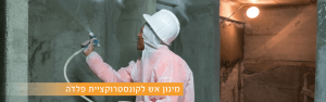 מיגון אש לקונסטרוקציית פלדה